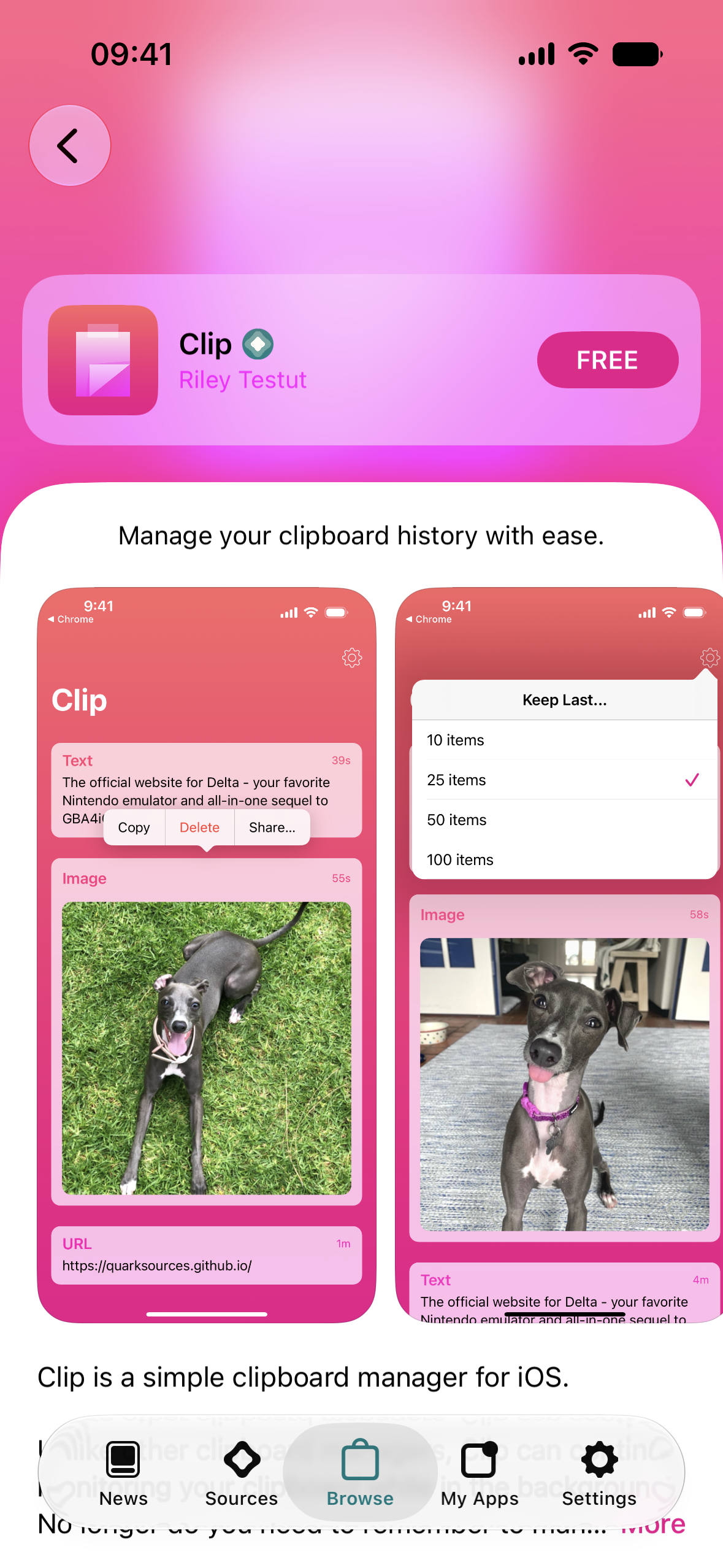 AltStore Classic screenshot 2